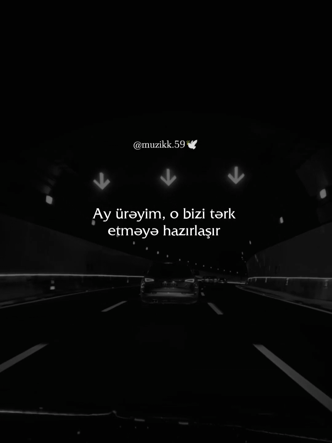@𝐌𝐮𝐬𝐢𝐜 𝟓𝟗 𝄞