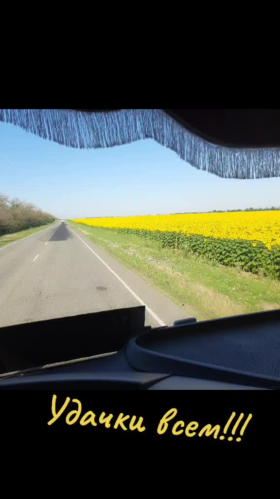 @Сергей