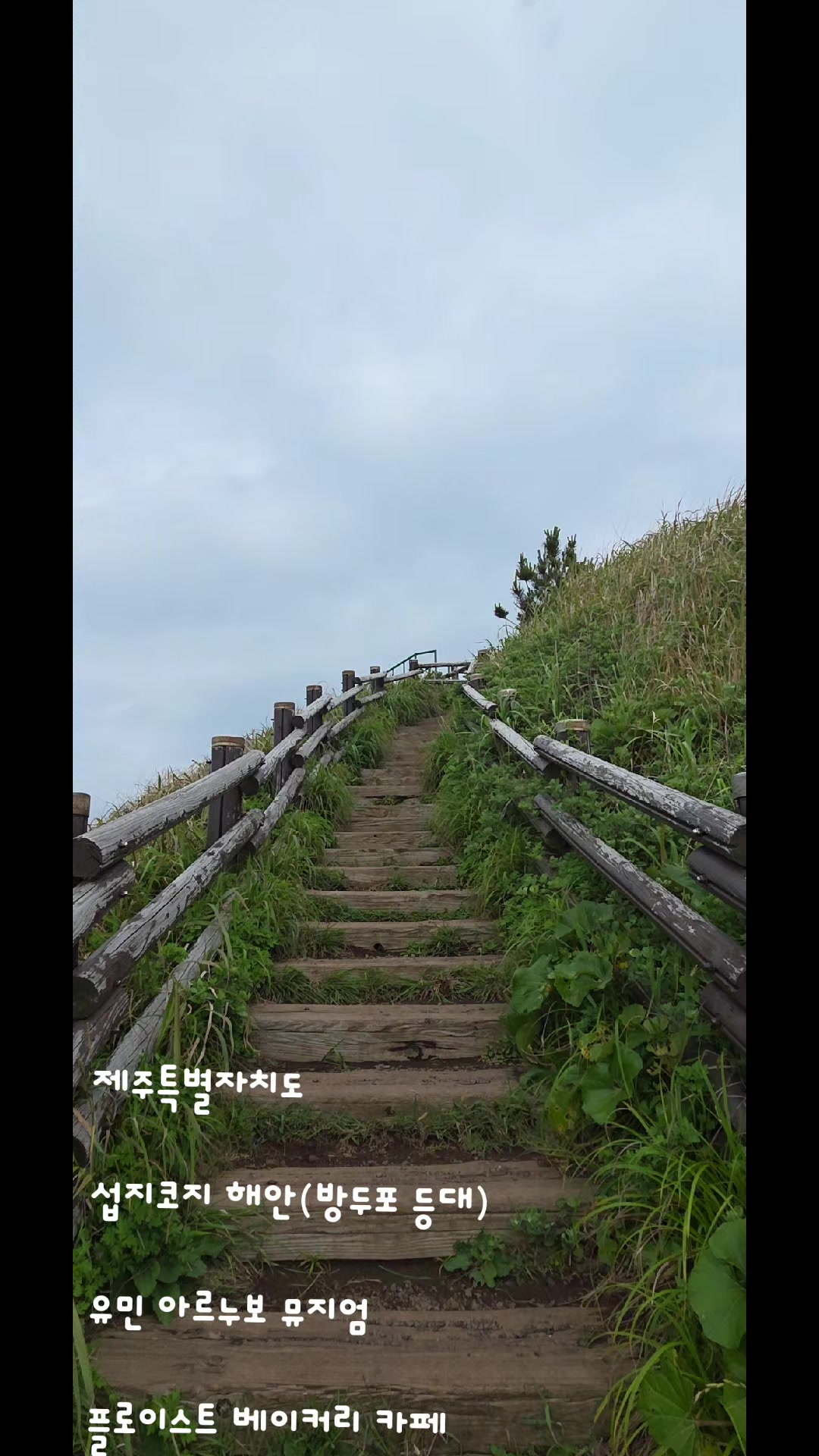 @참파