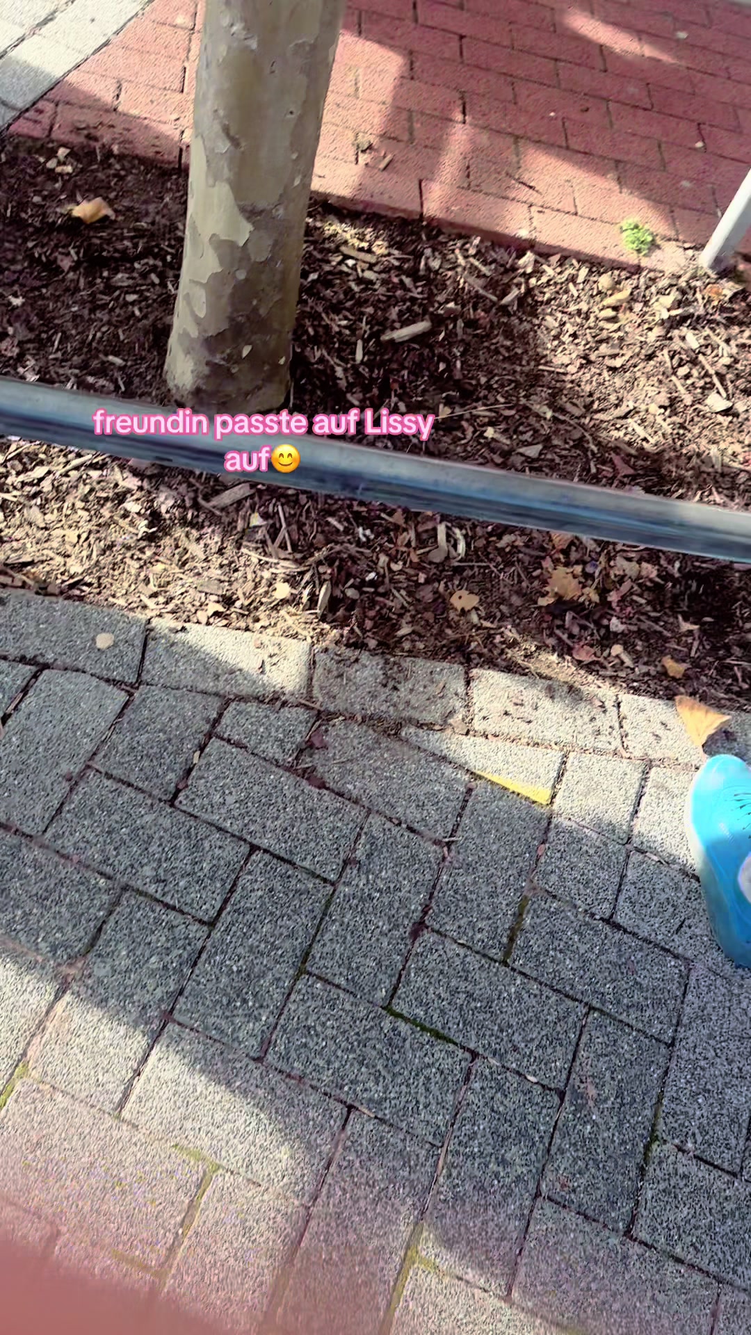 @teamlidialissy