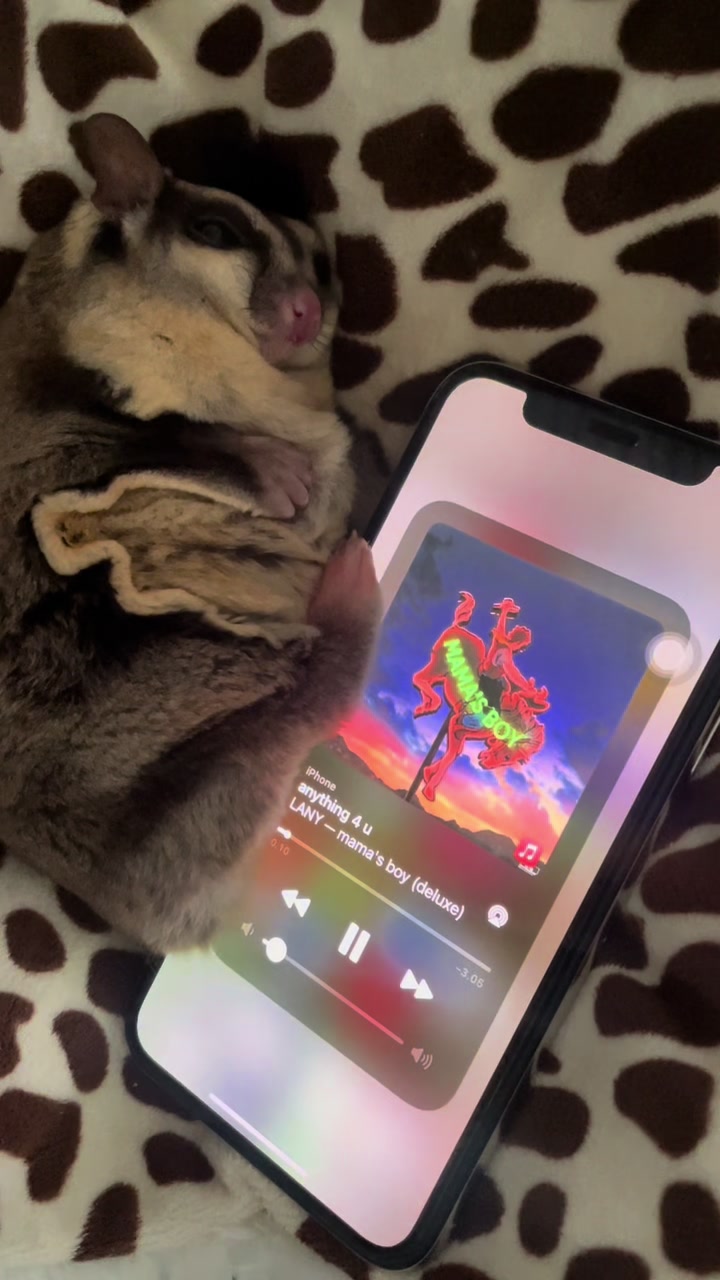 @Sadglider