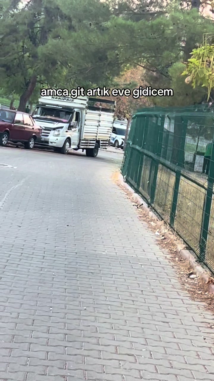 @wirellionyx