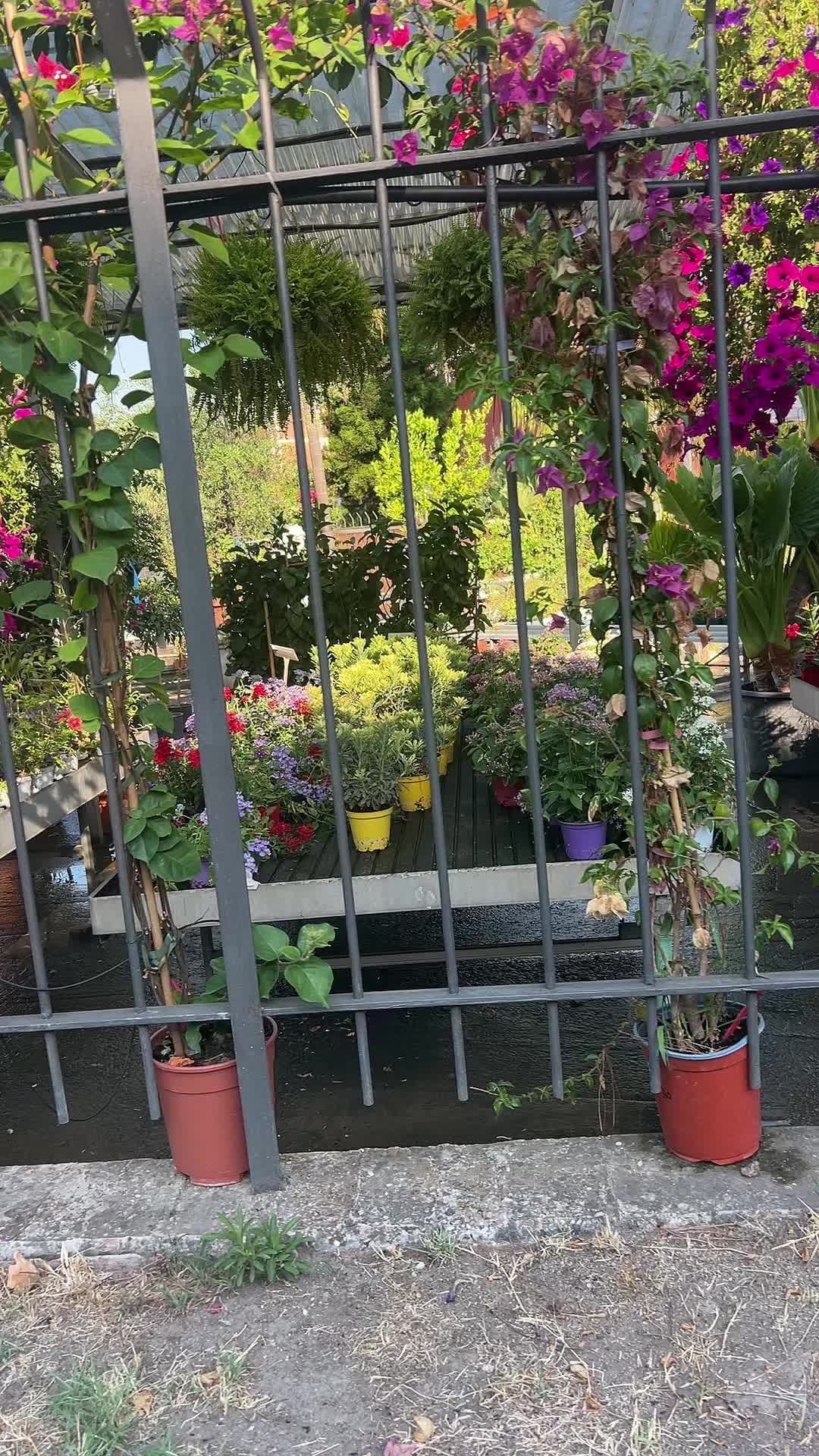 @vivaioanticogarden