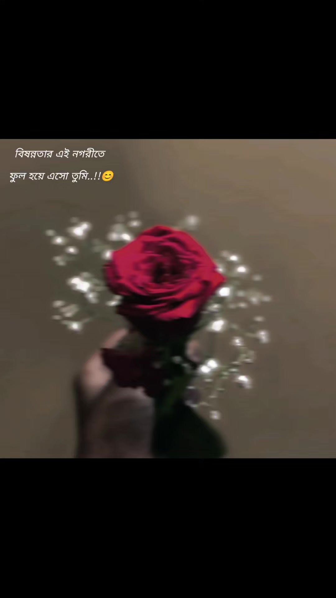 @🌸meherin🌸