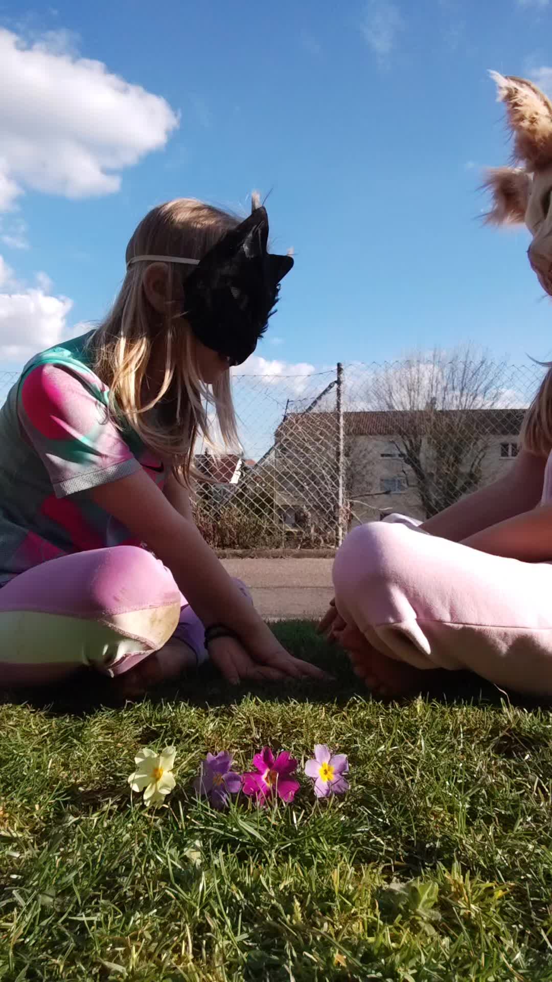 @🦴🐾♡⭒𝐹ℴxᥡ⭒♡🌀💿