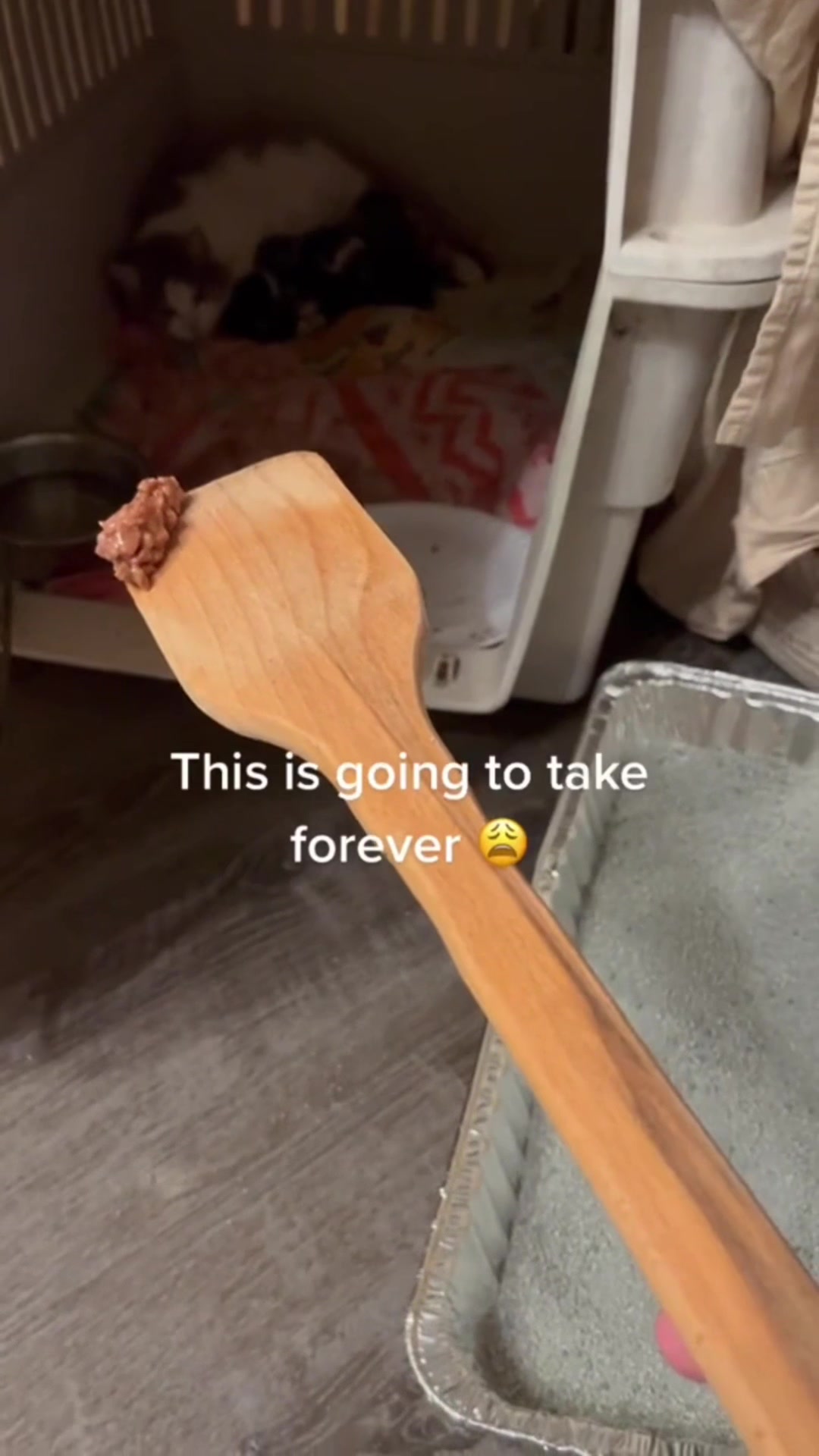 @Tonya