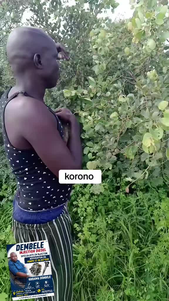 @Korono