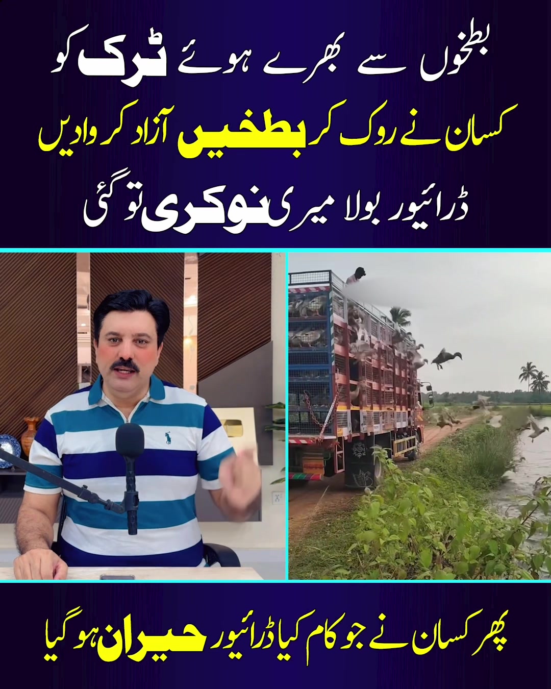 @Mux9 Tv