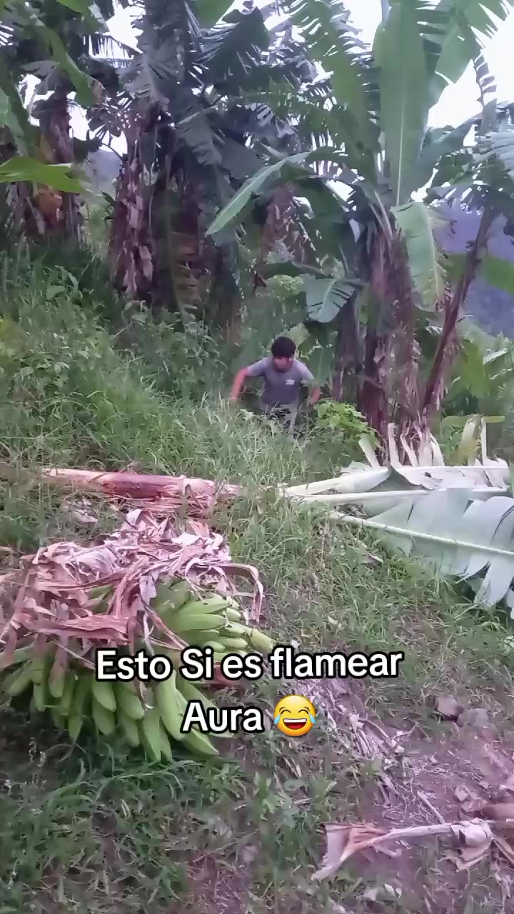 @El tio Edgardo hn