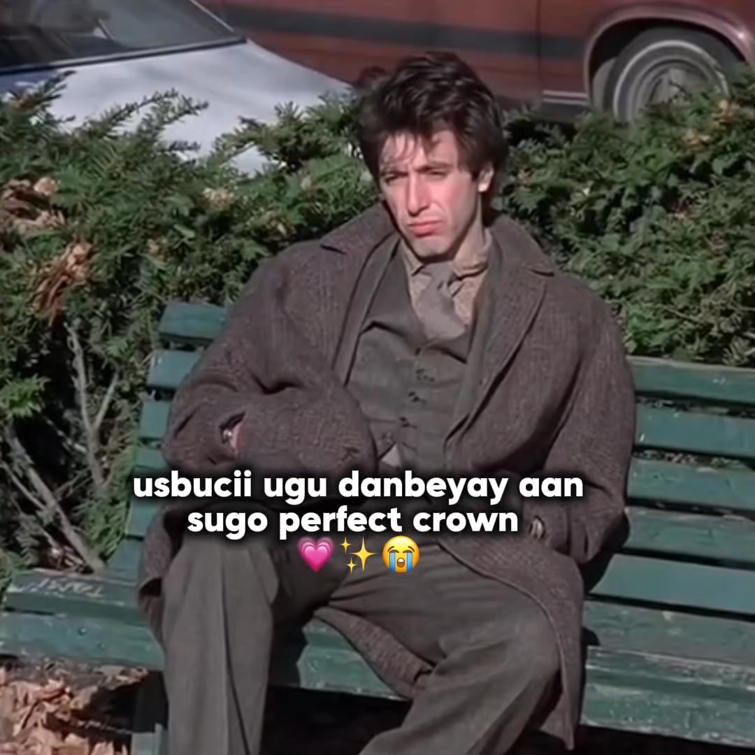 @qalbi dhaya 🌷