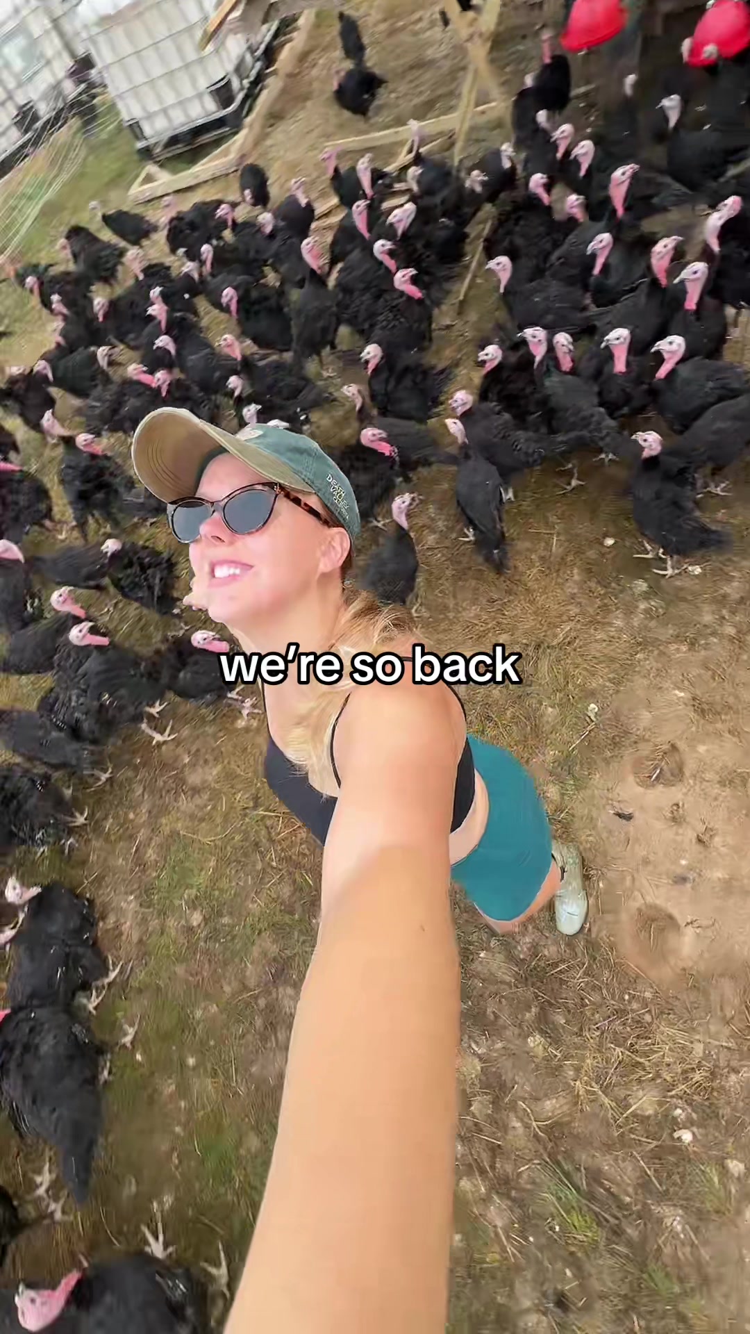 @farmerandtheharpiist