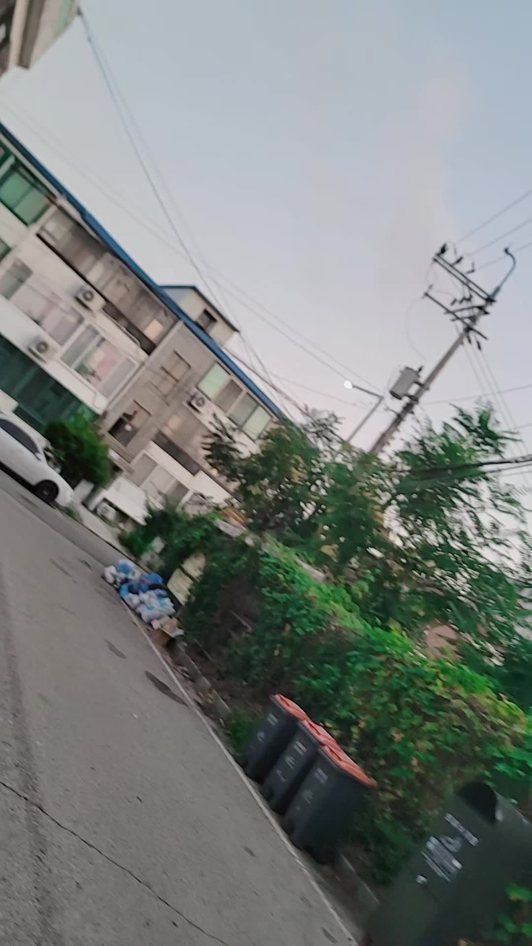 @ali korea 🇰🇷