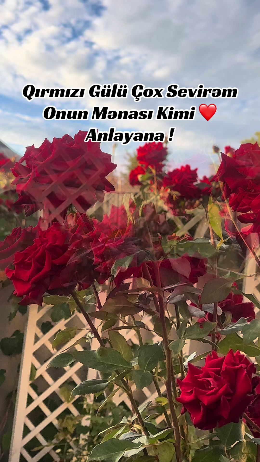 @Mənalı❤️Xanım