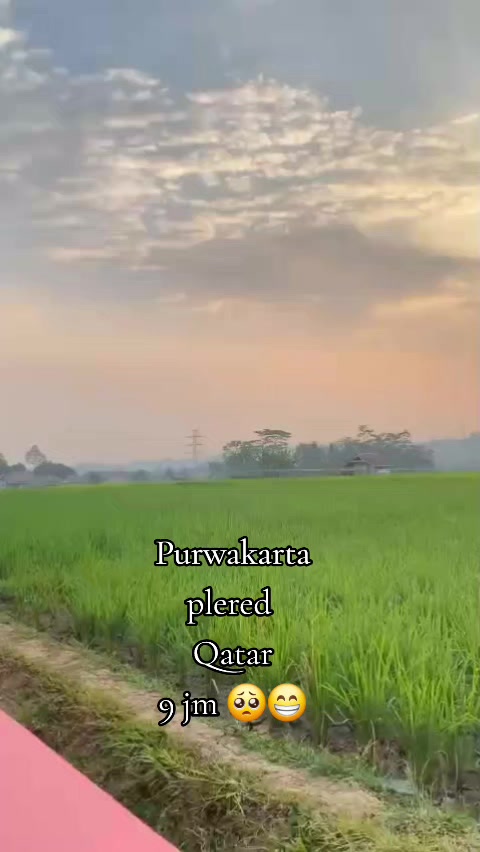 @🥰🥰tilas tapi Raos🥰🥰