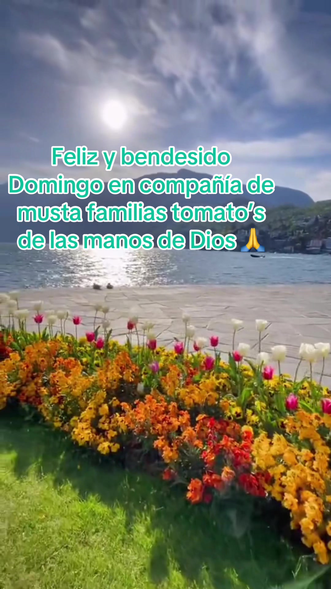 @Alma Baez295