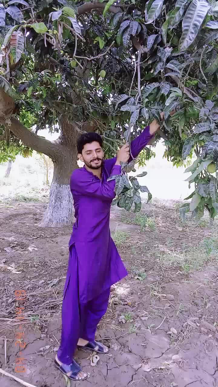 @bila6366