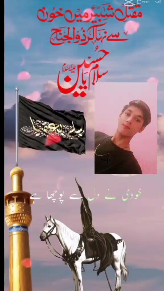 @TANVEER Ahmed 229