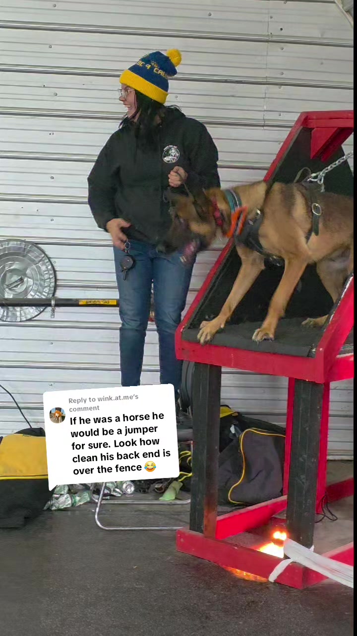 @Steph-RaisingHell.Hounds🇨🇦