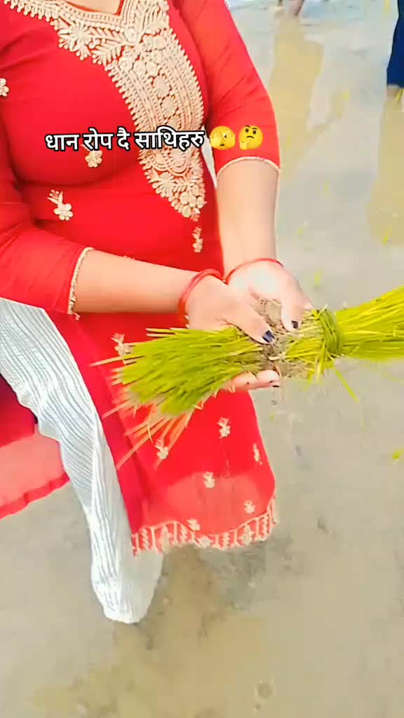 @jamuna Office