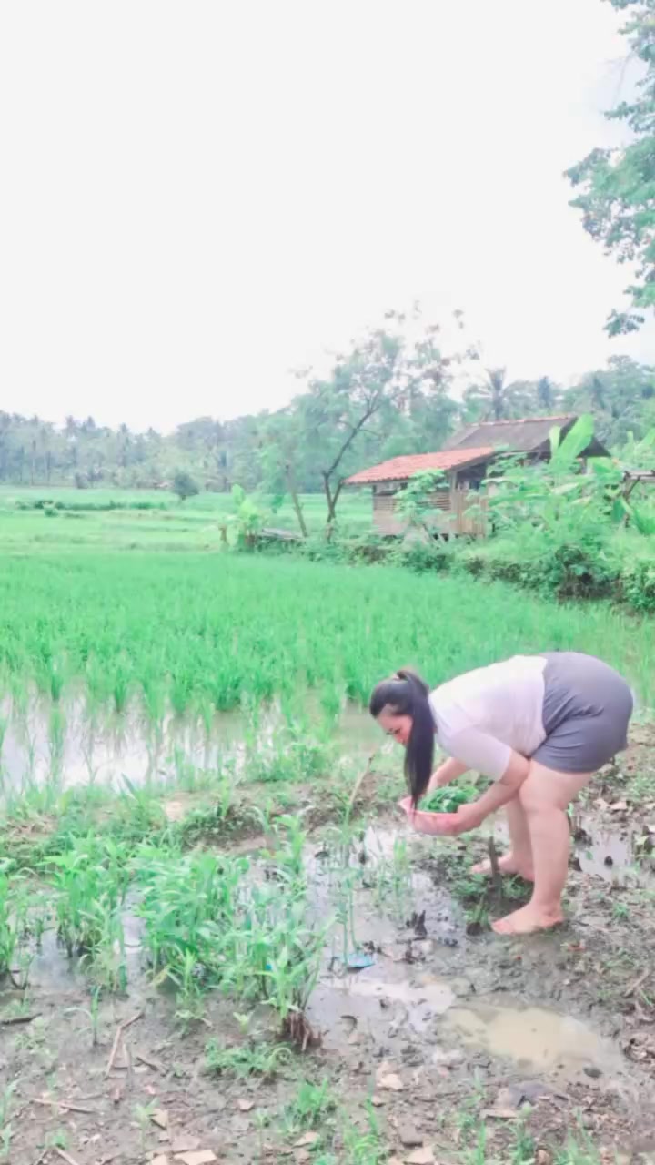 @๐๐๐พ๐๐'CIKAL JLโ