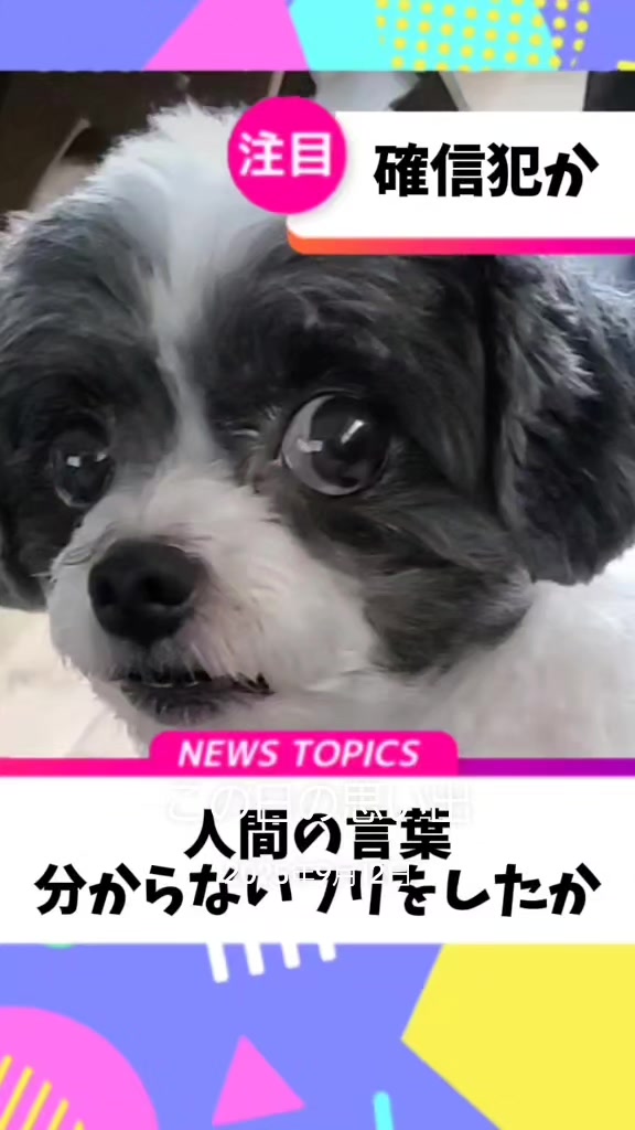 @井坂みどり