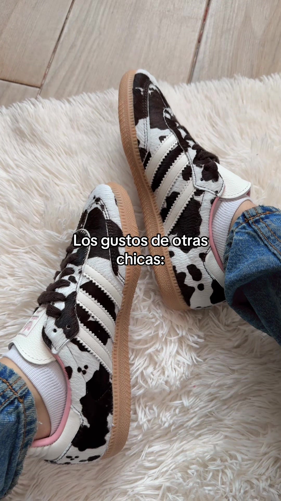 @absolute.mx_