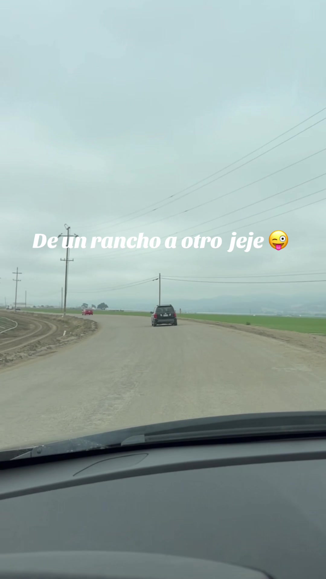 @Chela A367