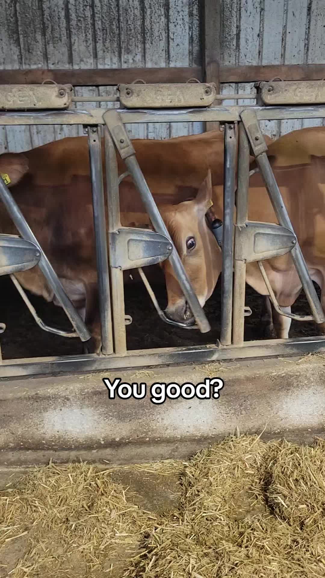 @Garrett