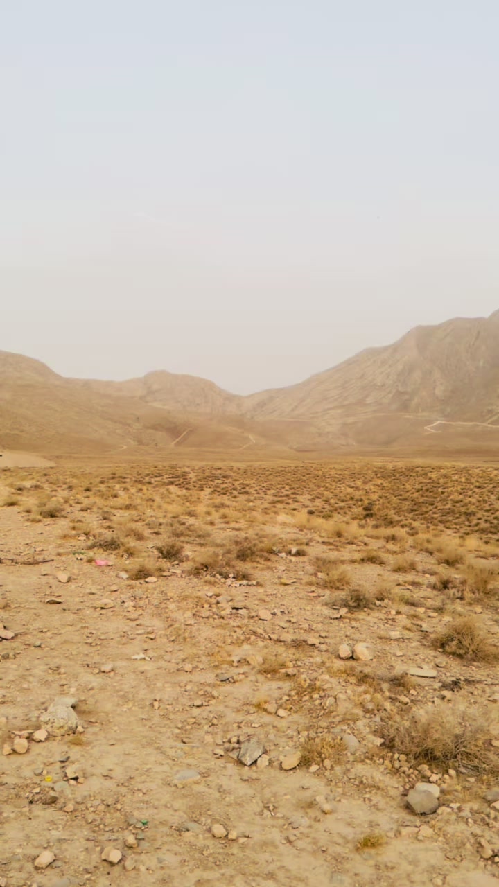 @umar achakzai 123