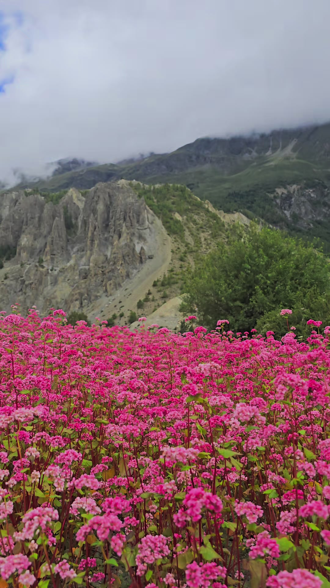 @Manang Tour Package.(Bikash)