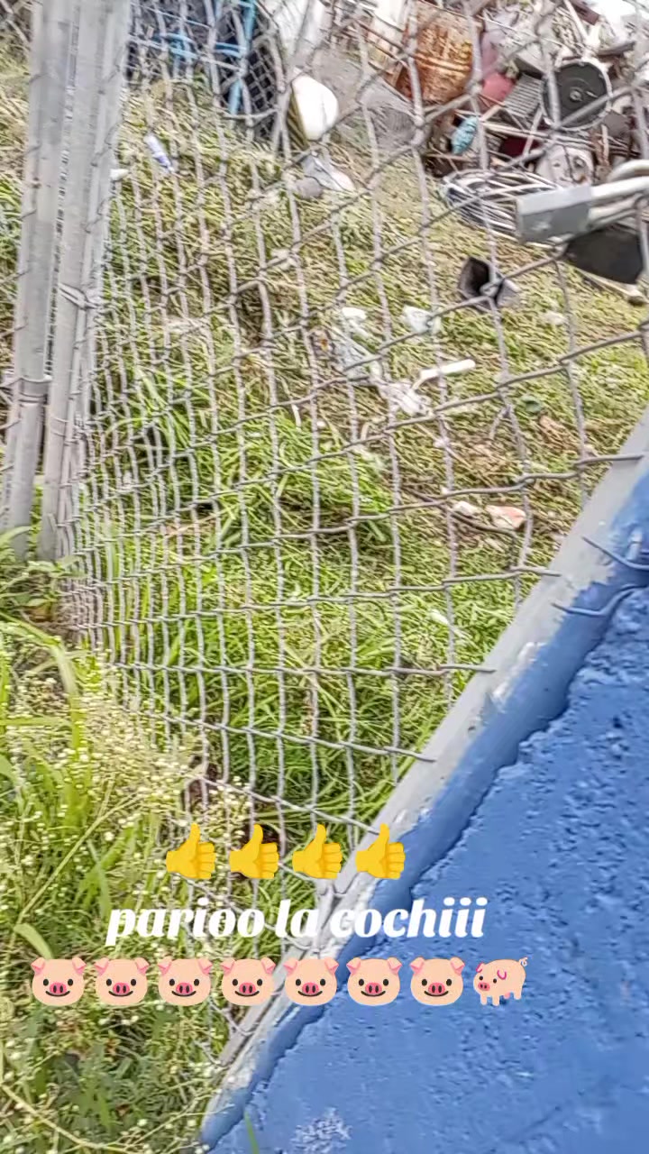 @Fernando Piña Guardado