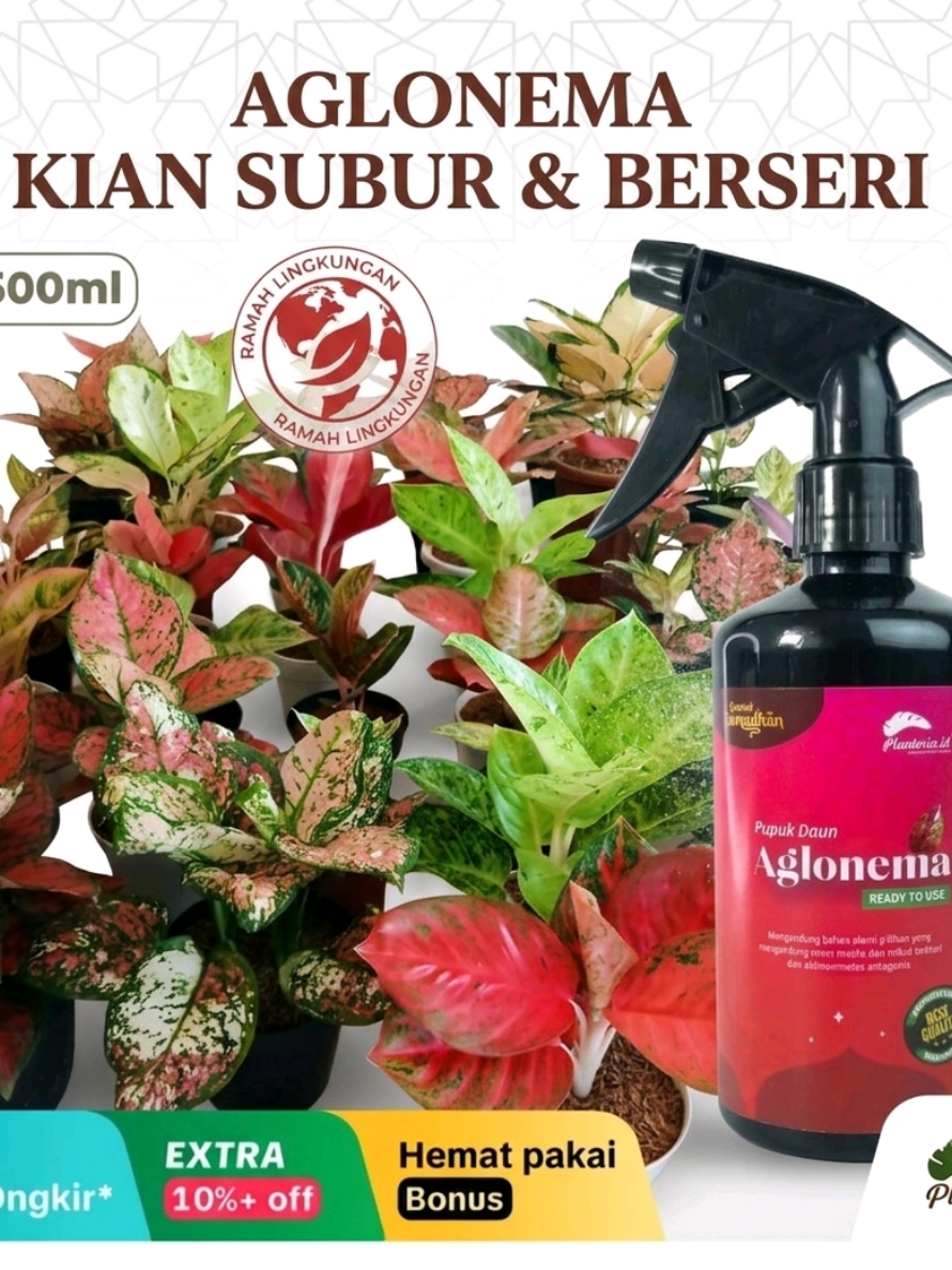 @Kuntum_Bunga