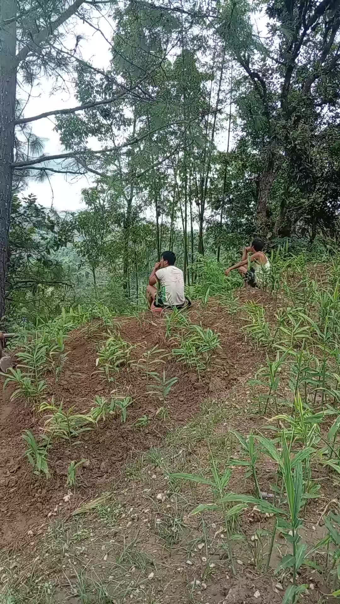 @लिम्बू keटो