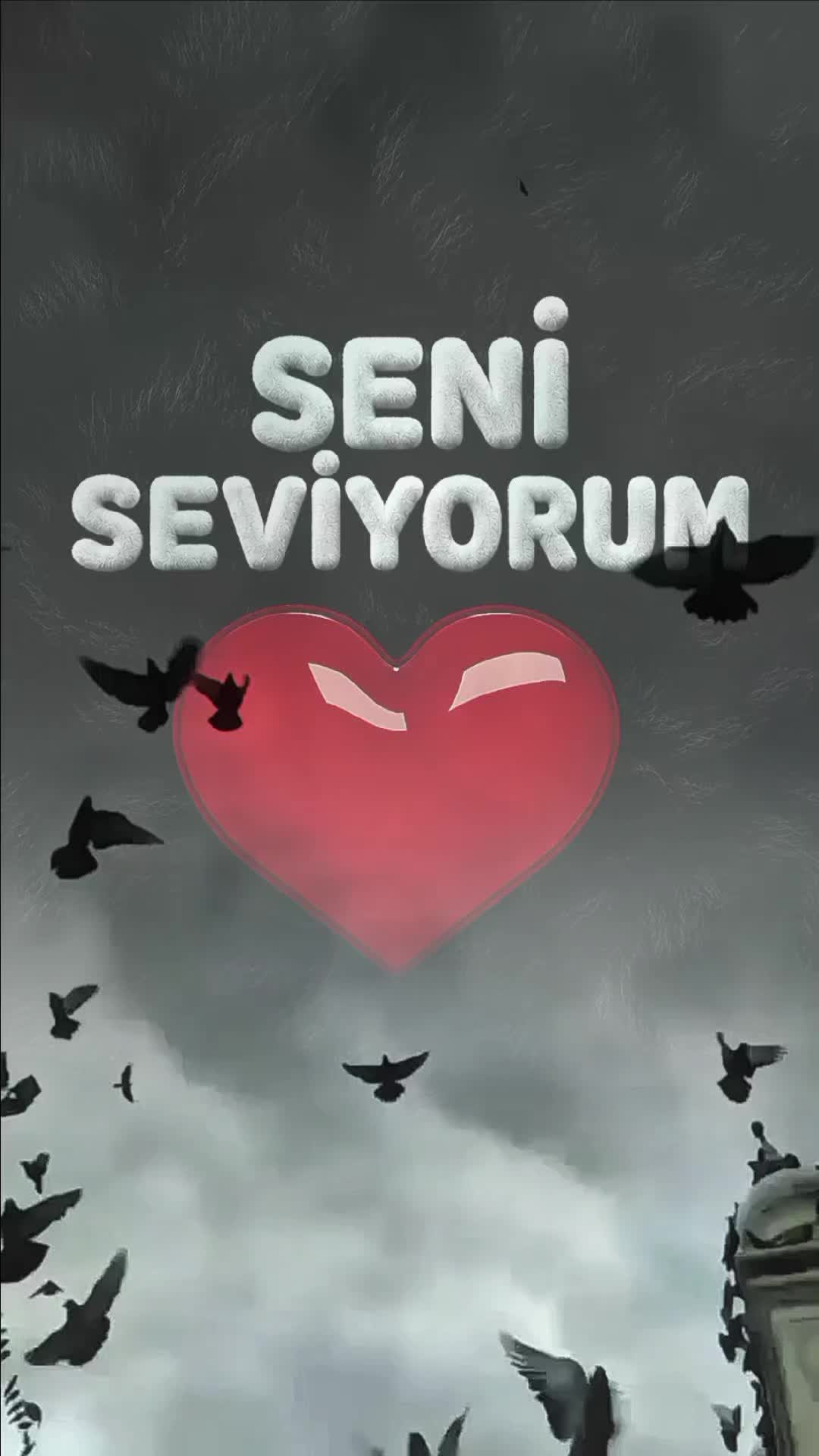 @SHOW İS NAME