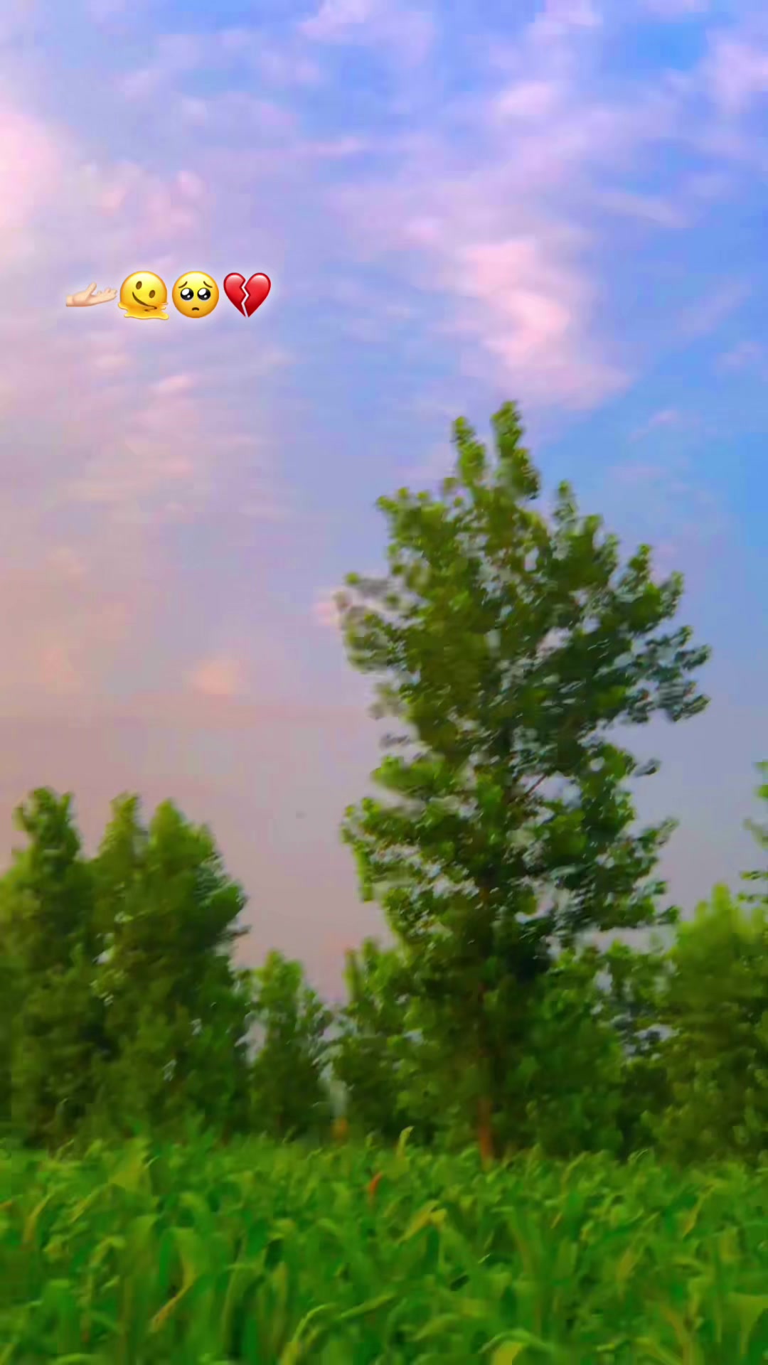@♞ ✘👤𝙐𝙍 7⚜️𝙢𝘈𝙜𝙝𝙧𝙤‽🚩