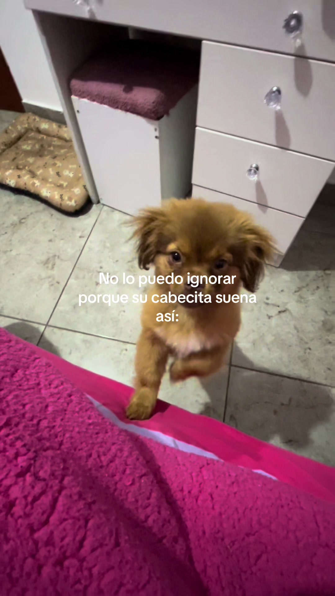 @️Kiara Lara 🎀
