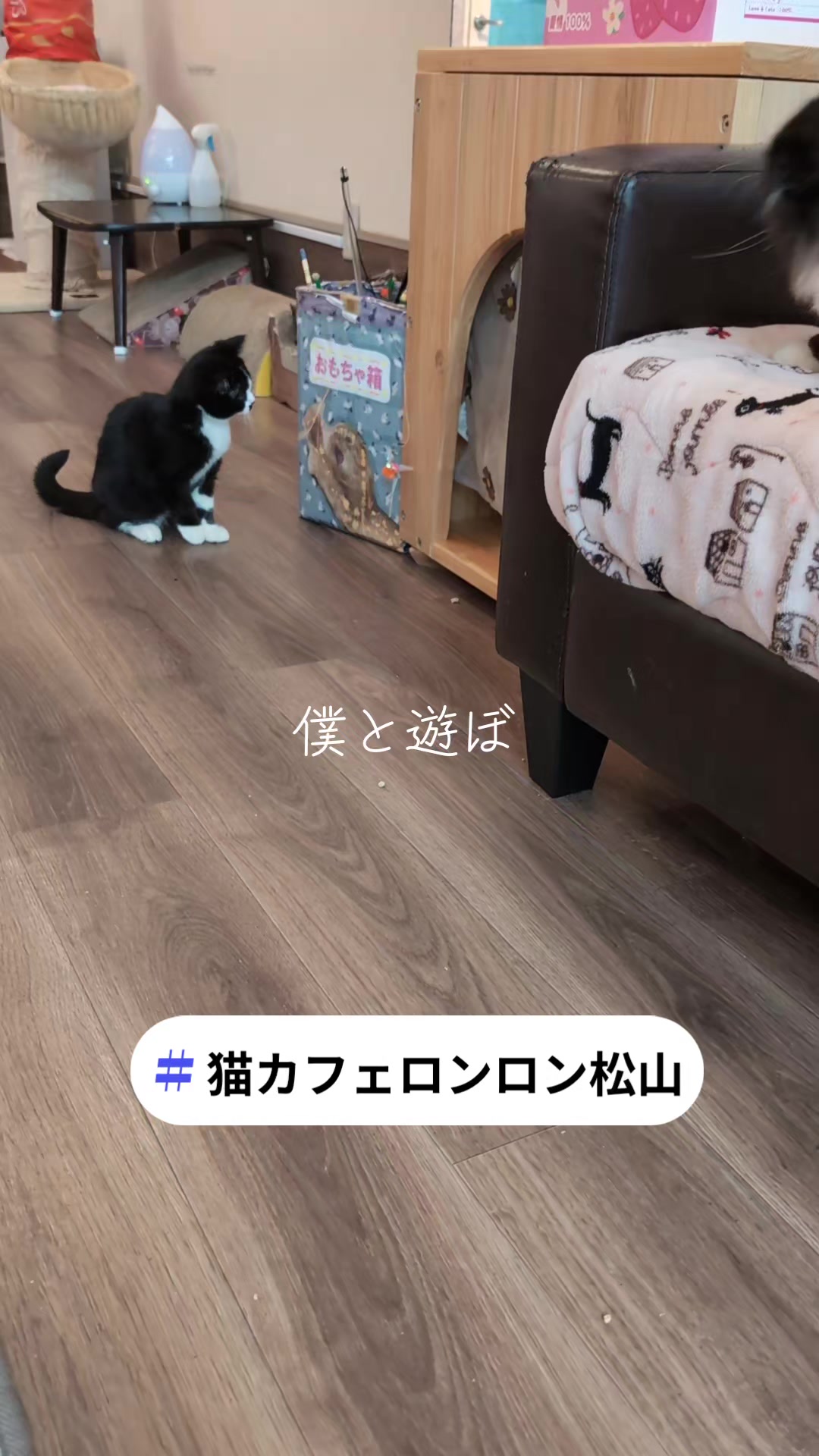 @りょうた