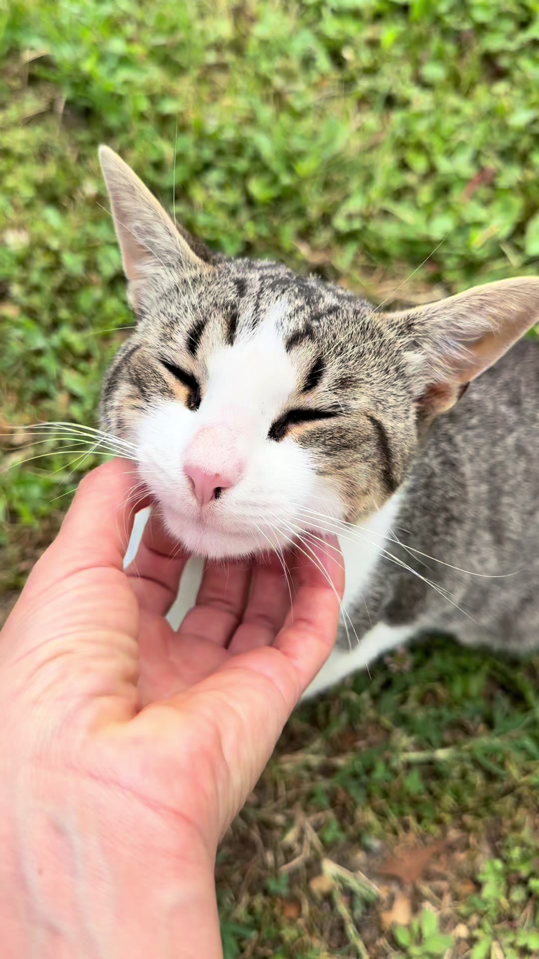 @Sladja🐱