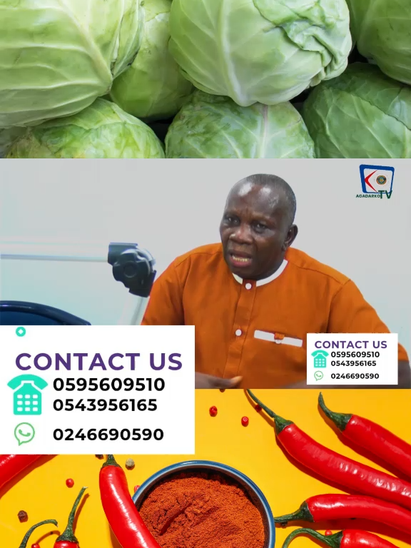 @Agadarko Media