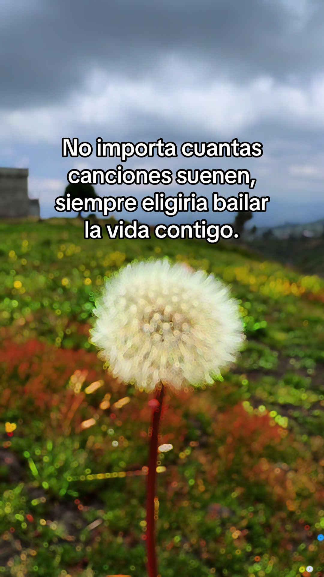 @Diego Chr