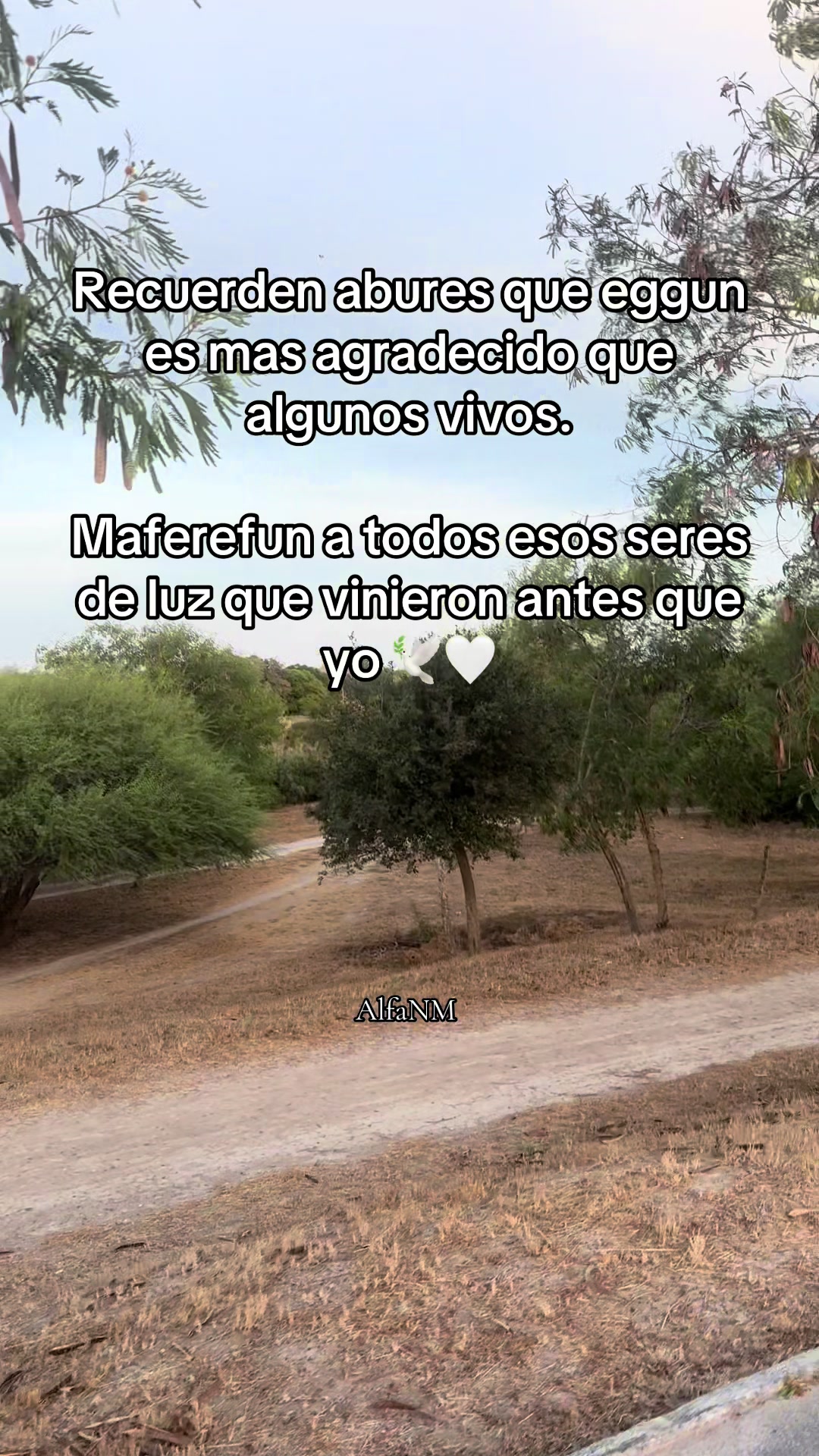 @AlfaNM.
