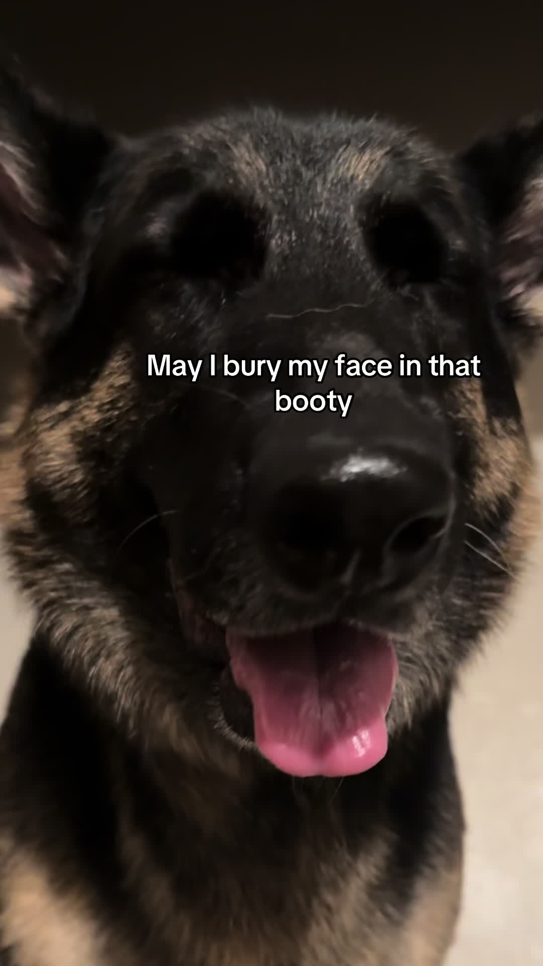 @Bhris