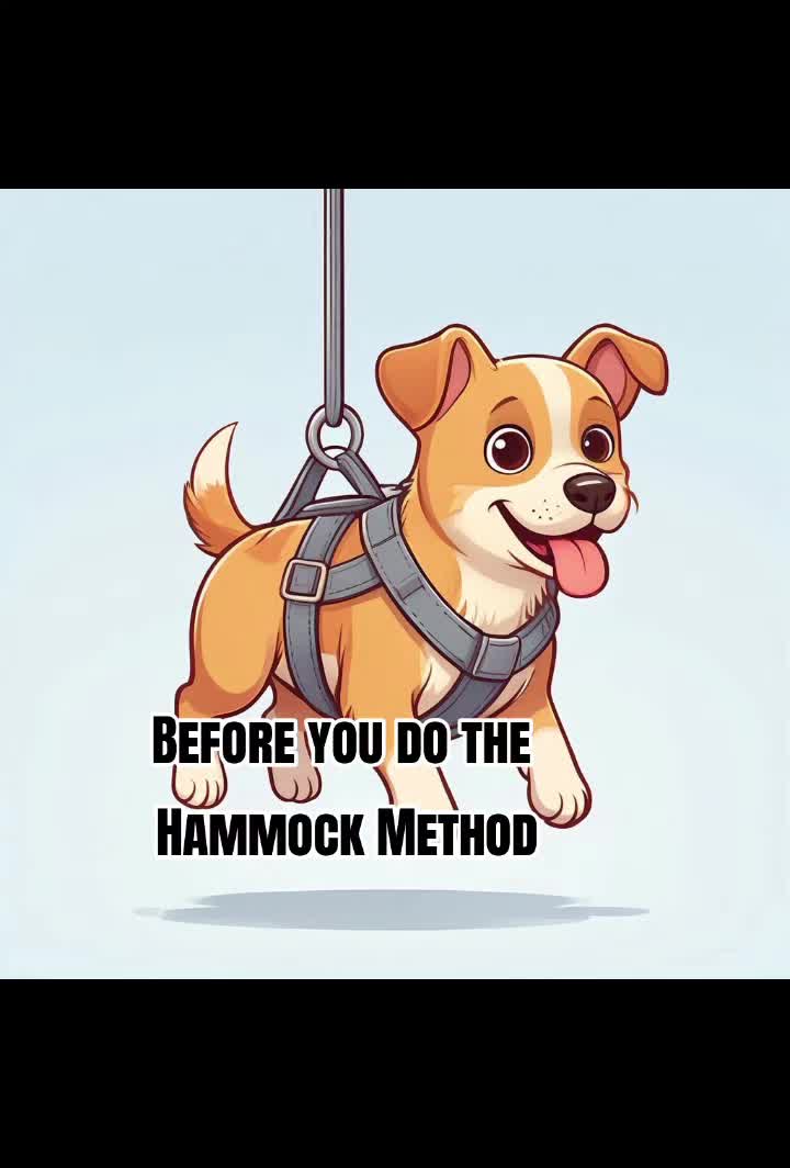 @Muttstrutt