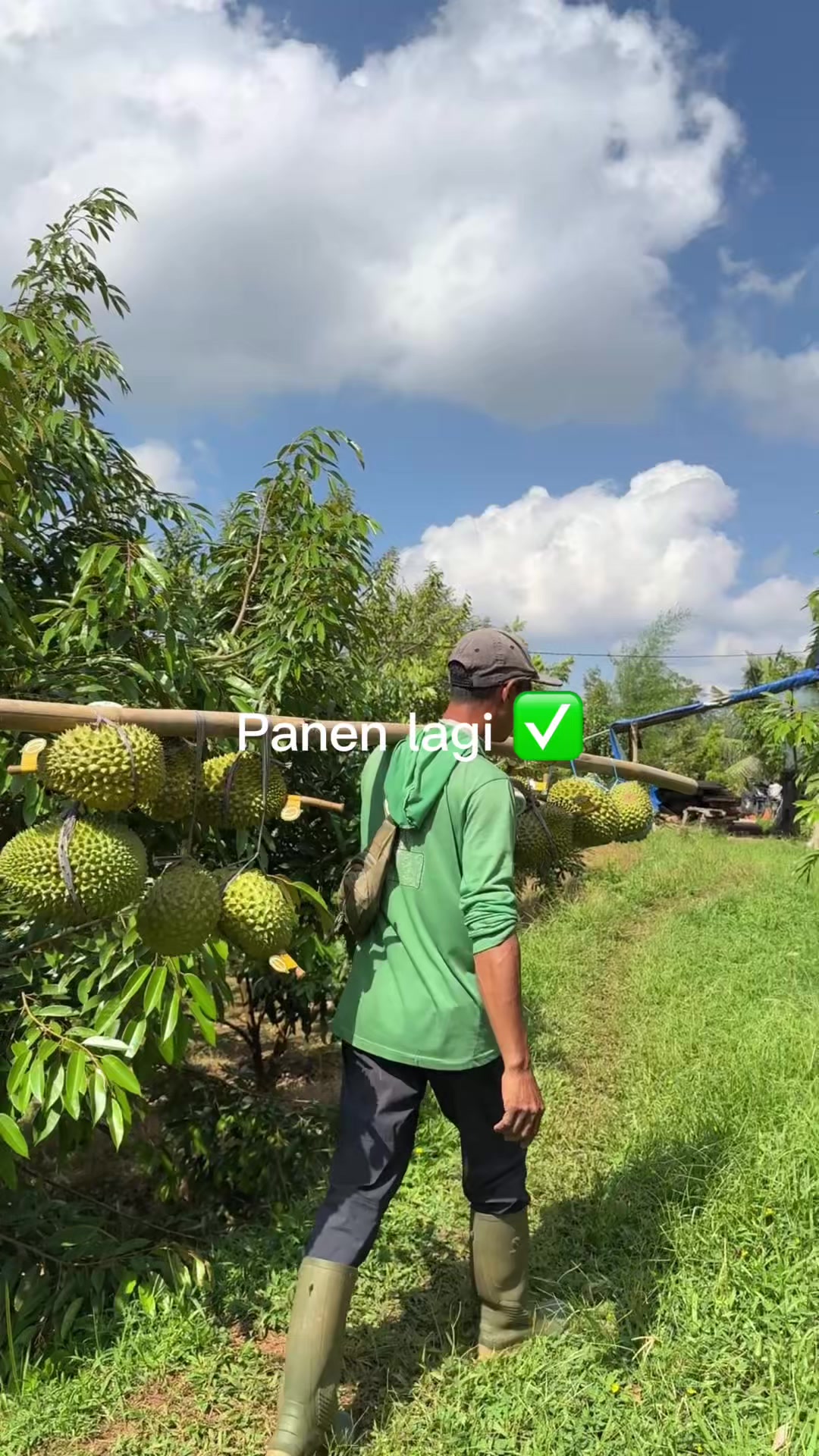 @AA KADU
