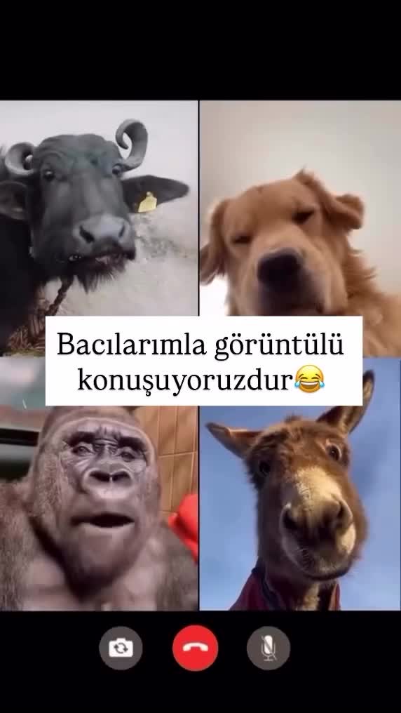 @Yumor_Time95