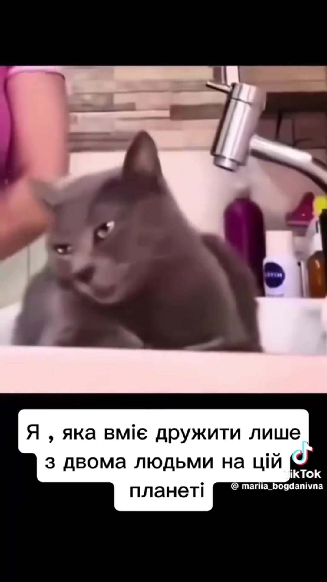 @Маруся Андріївна