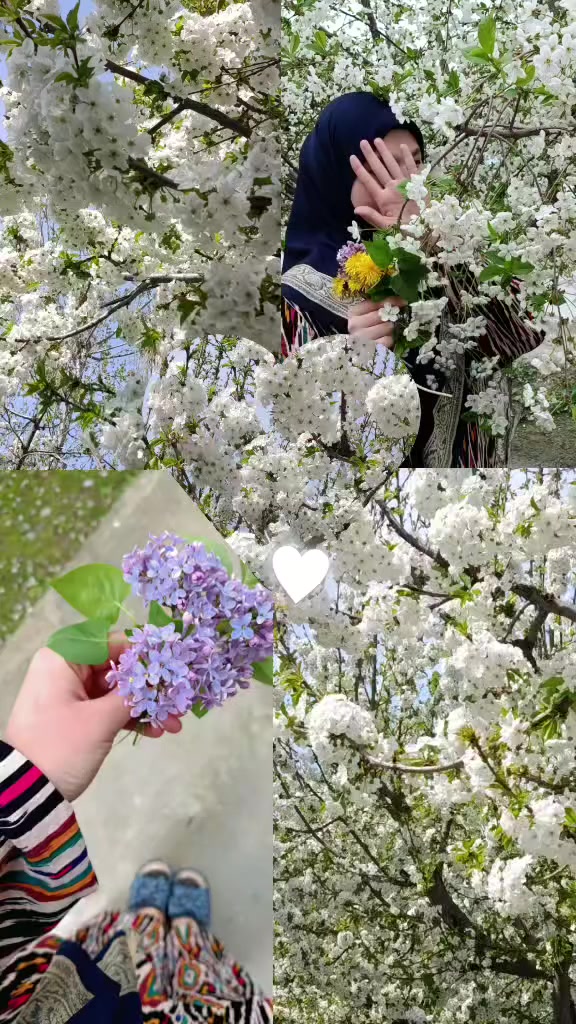 @❤️✨🍃