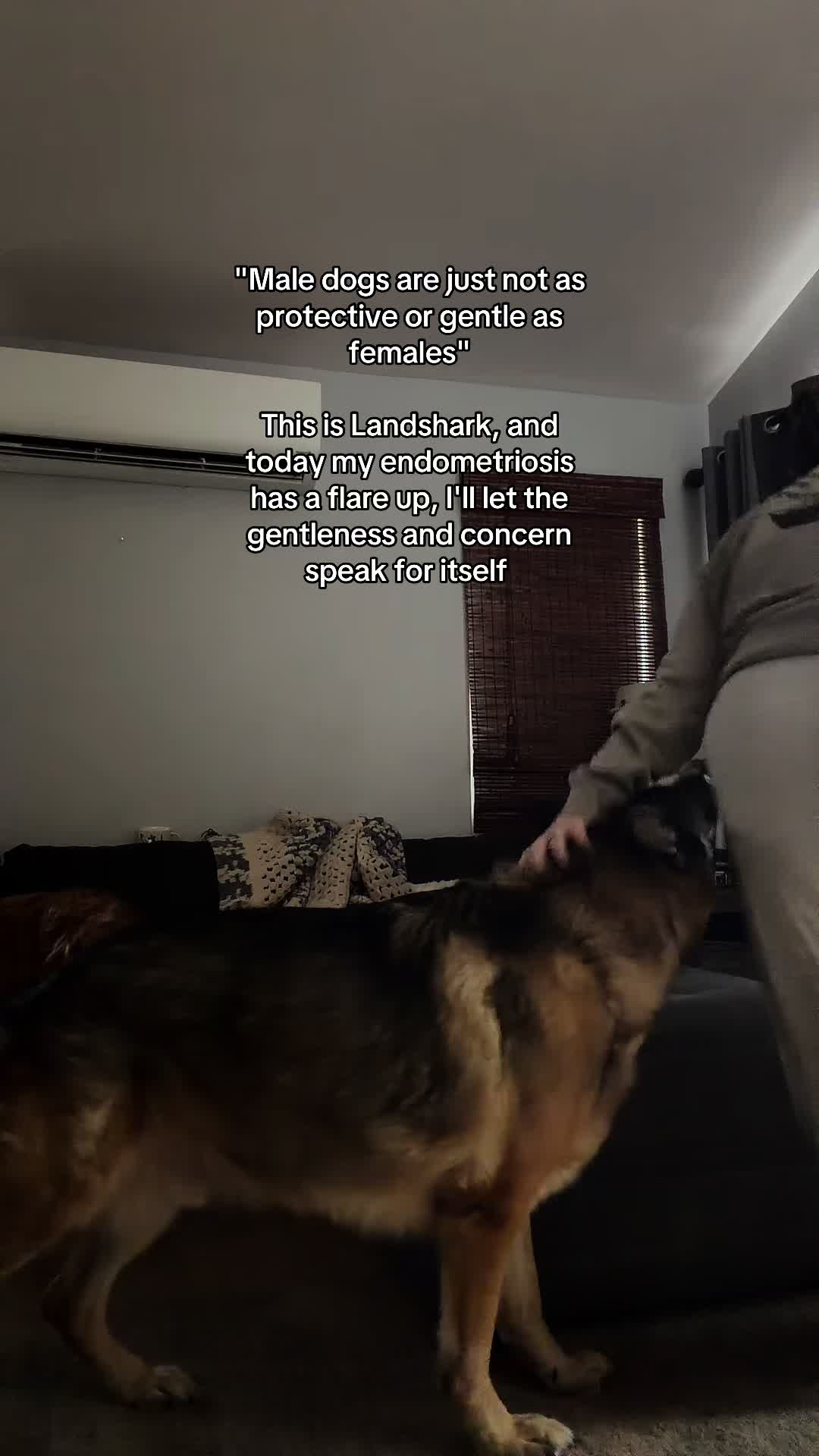 @thewhimsypeach_