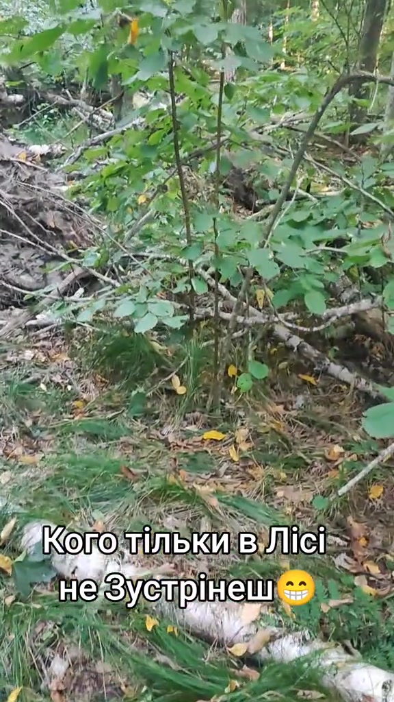 @Смішно з Бодяном😁