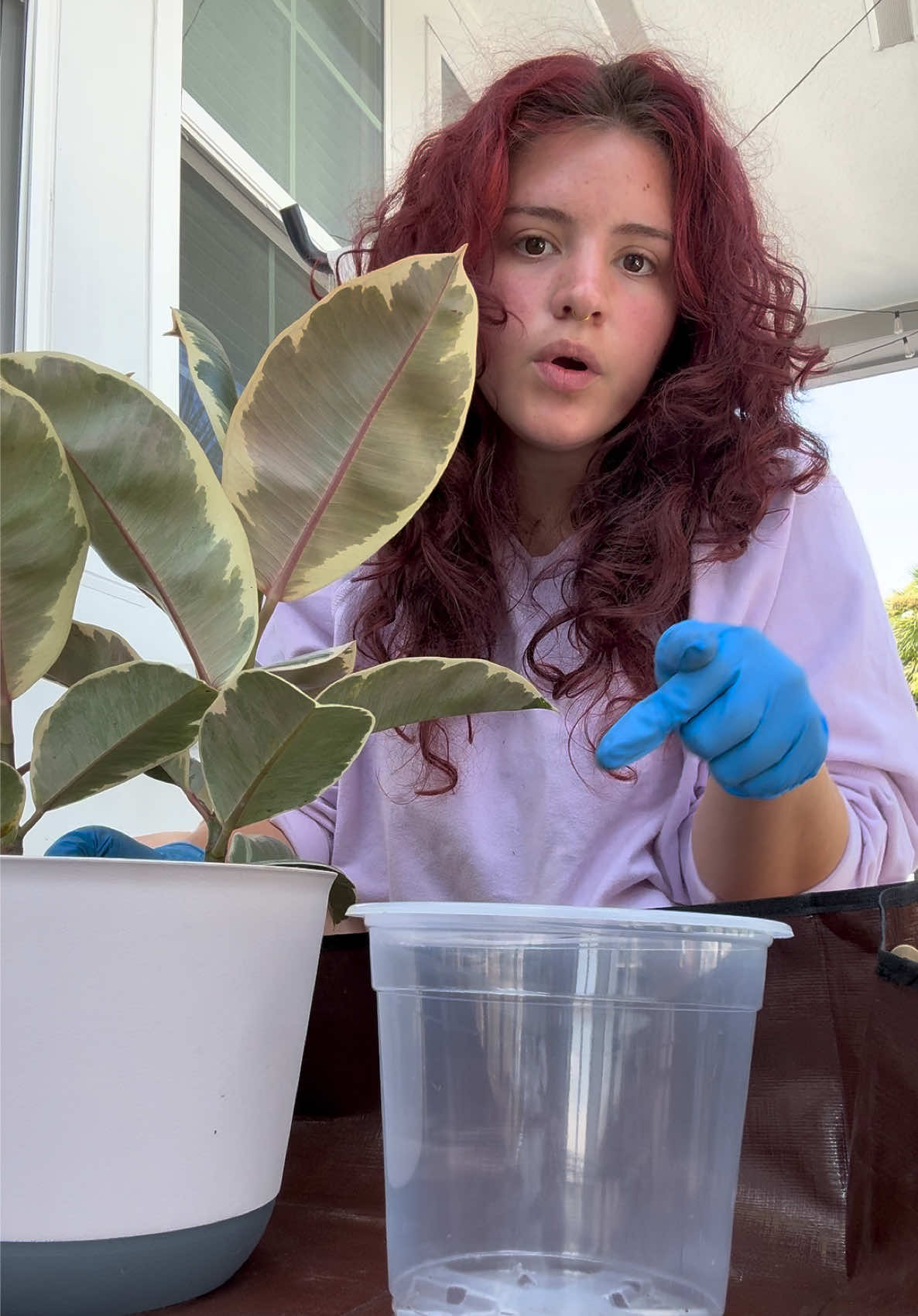 @vixvaporubb